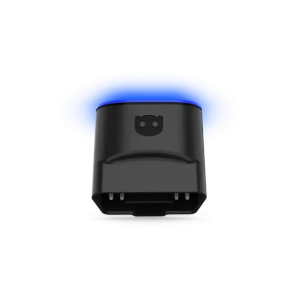 c742fafedba2e96a166dc974f2c7.webp